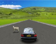 Action driving game online autós játék